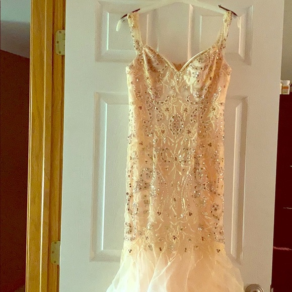 Blush Pink Evening/Prom/Ball Gown - Picture 1 of 6